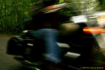 Steve In Motion-1