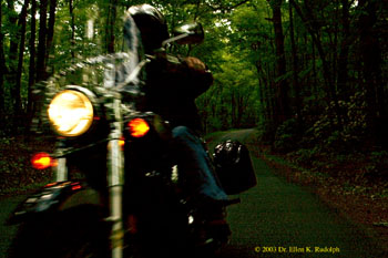 Steve In Motion-7