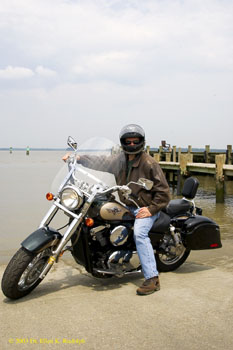 Steve Sans Motion-1