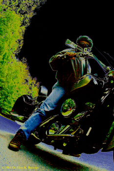 Steve The Kawasaki Poster