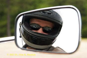 The Rear View